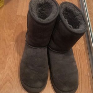 Grey short boot uggs